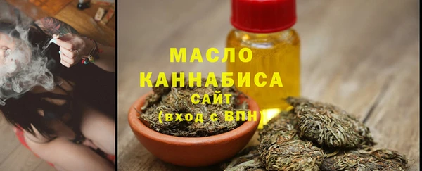 хмурый Арсеньев