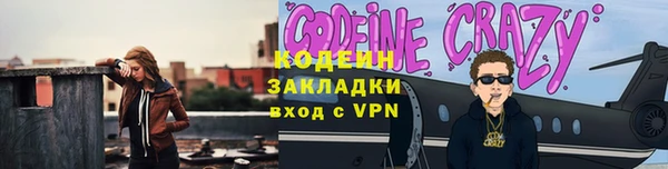 хмурый Арсеньев