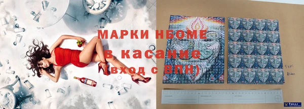 хмурый Арсеньев